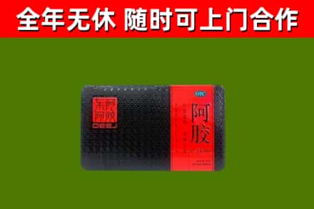 江孜县回收阿胶