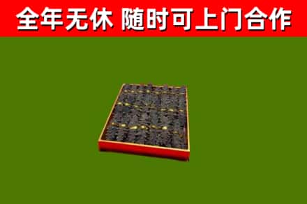 江孜县回收海参